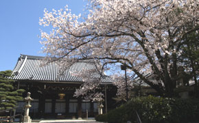 本願寺大谷本廟（西大谷）