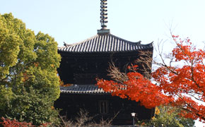 大本山 金戒光明寺